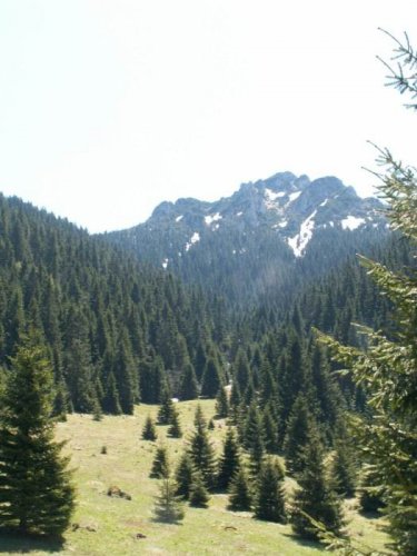 Malá Fatra - 22.5.2005